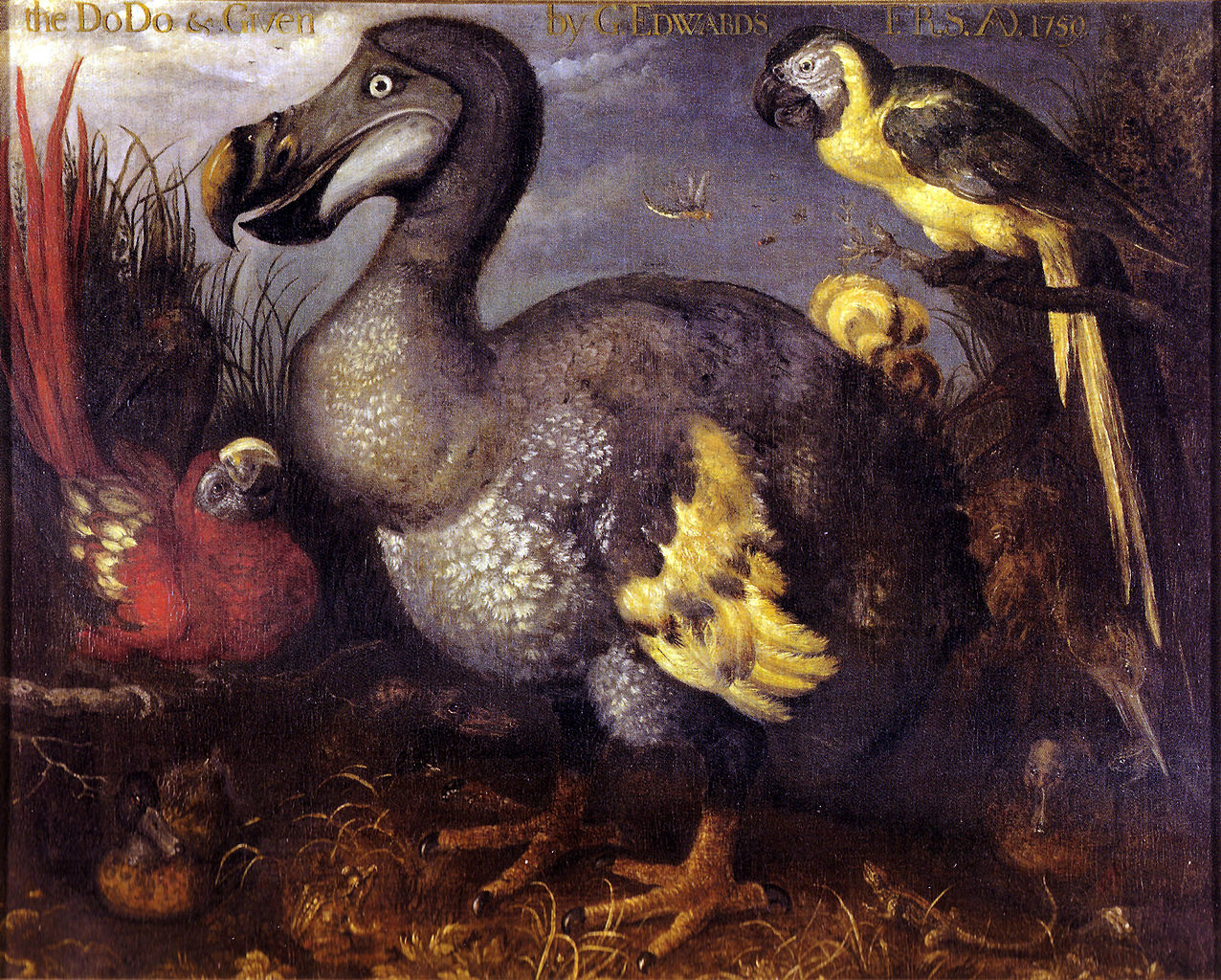 Scopriamo insieme la storia del Dodo: un uccello estinto che ha affascinato il mondo!