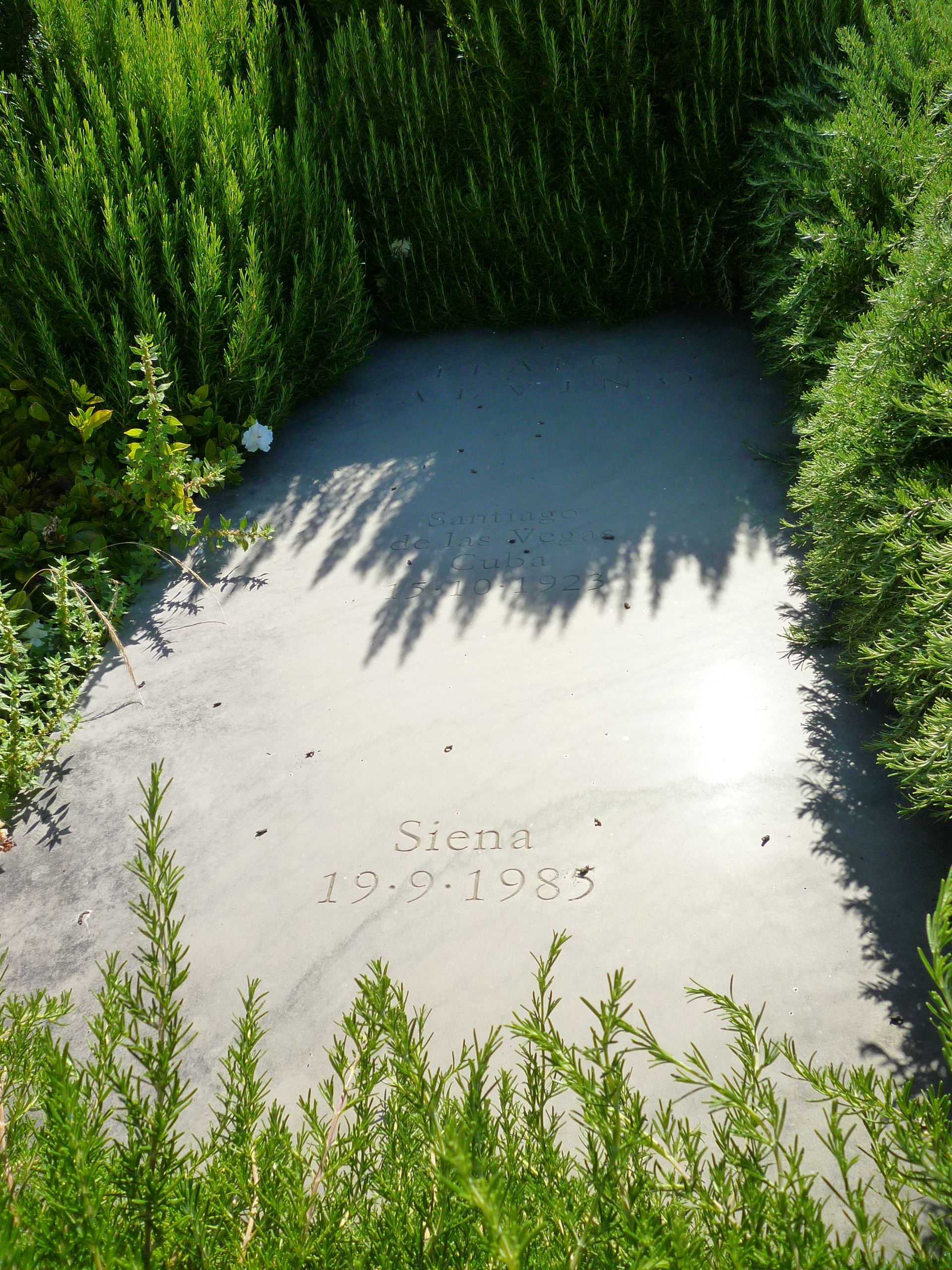 Scopri i vincitori della 49esima edizione del Premio Letterario Internazionale Mondello: una sfida tra libri e lettori!